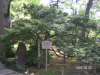 s_pict0132_thumb.png